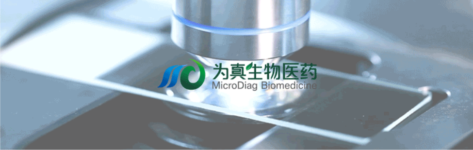 王莹院长领衔，王弢博士技术负责的研发项目获浙江省2024年度“尖兵”“领雁”研发攻关计划项目立项